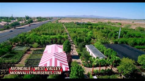 moon valley nursey|moon valley nursery avondale.